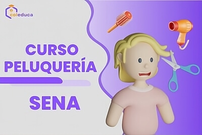 curso peluqueria sena