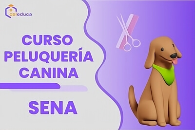 curso peluqueria canina sena